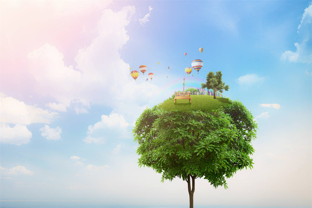 空氣能熱泵：水稻的烘干條件及特點